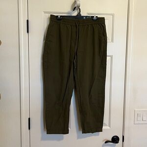 J Crew Cropped Pants 12